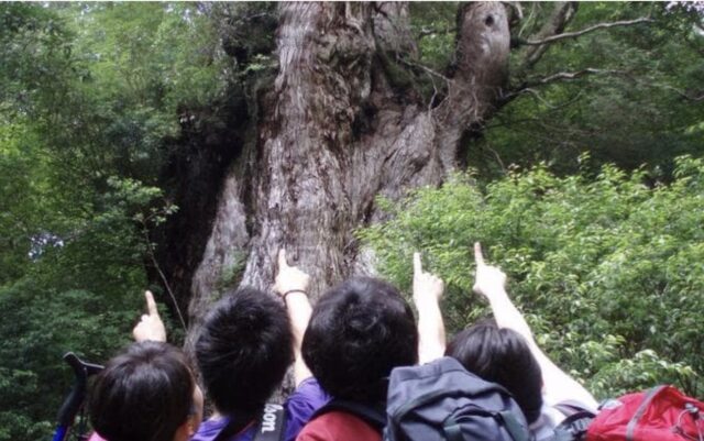 屋久島を修学旅行（卒業旅行・団体旅行）で楽しもう！大人数におすすめのツアー・観光スポットをご紹介