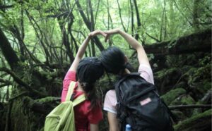 【屋久島】早朝スタートで混雑回避☆神秘の森『白谷雲水峡〜もののけの森〜太鼓岩』を巡るトレッキングツアー！午後フライトの方にもおすすめ《送迎付き》