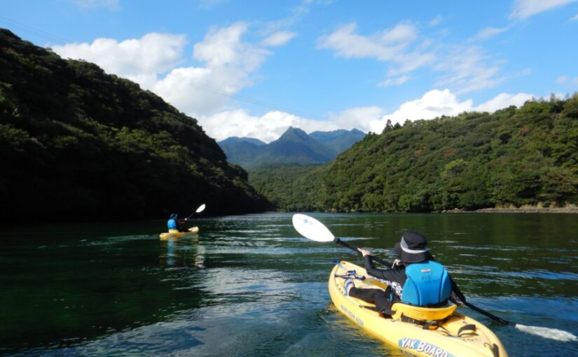 屋久島　マングローブカヌー　カヤック