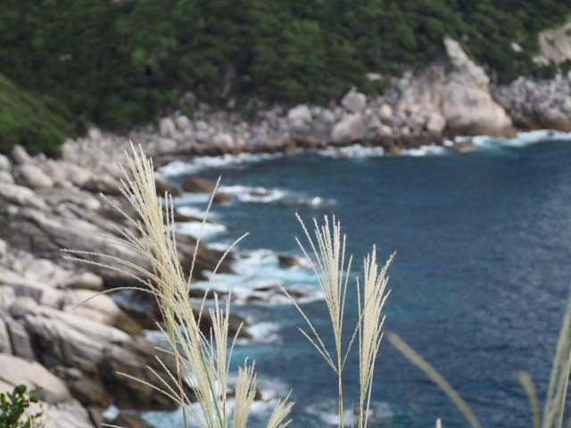 屋久島の10月の天候や気温・適した服装や持ち物・おすすめのアクティビティをご紹介！