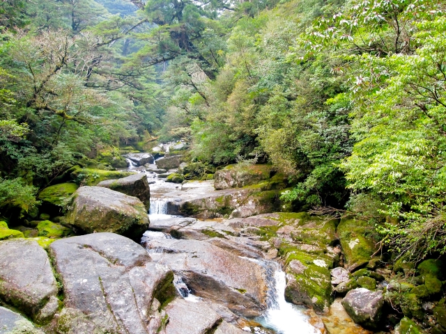 屋久島の1月の天気・服装・おすすめアクティビティをご紹介！