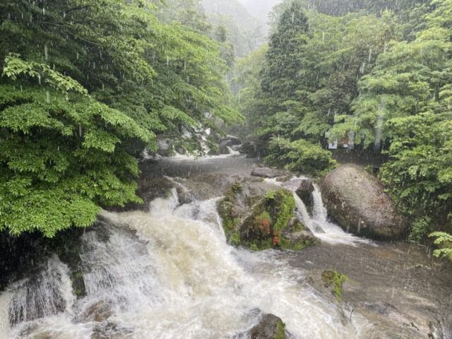 屋久島の滝ランキング！観光で外せない絶景＆アクセス情報まとめ