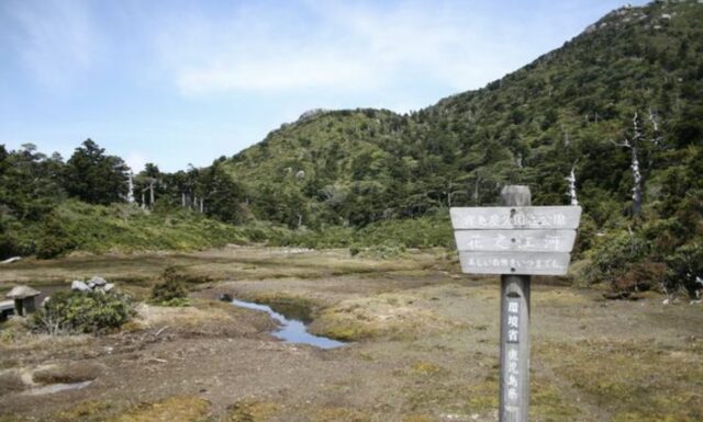 【屋久島・トレッキング】シャクナゲに囲まれる登山道「黒味岳」トレッキングツアー