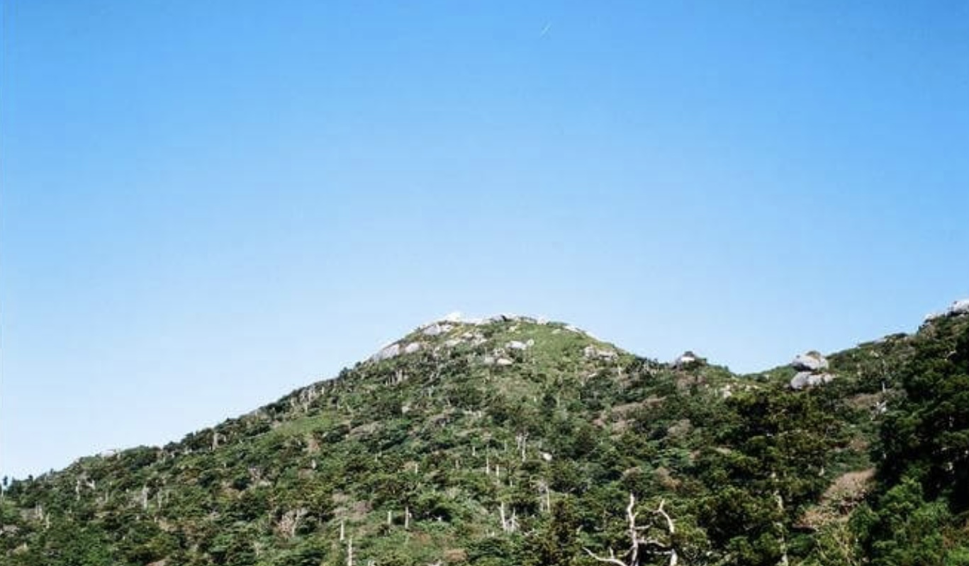 【屋久島】初心者大歓迎！屋久島の自然をギュッと凝縮☆シャクナゲ花に囲まれながら絶景『黒味岳』トレッキングツアー（No.76）