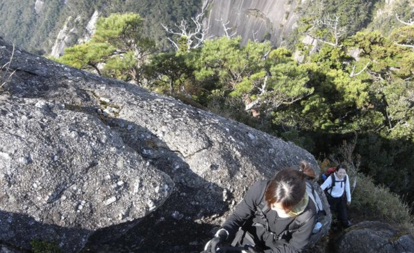 【屋久島/1日】頂上から眺める絶景が大人気★屋久島の魅力が凝縮された『モッチョム岳』トレッキングツアー（No.78）