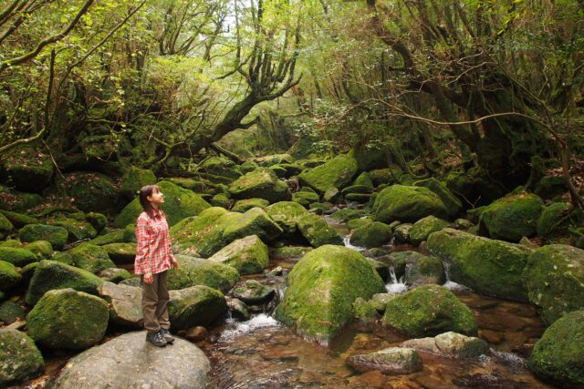 屋久島の年末年始ってどんな感じ？知っておきたい旅行費の相場＆おすすめアクティビティ