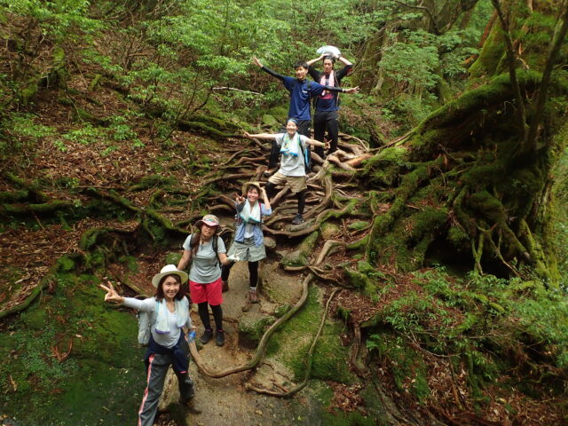 屋久島の年末年始ってどんな感じ？知っておきたい旅行費の相場＆おすすめアクティビティ