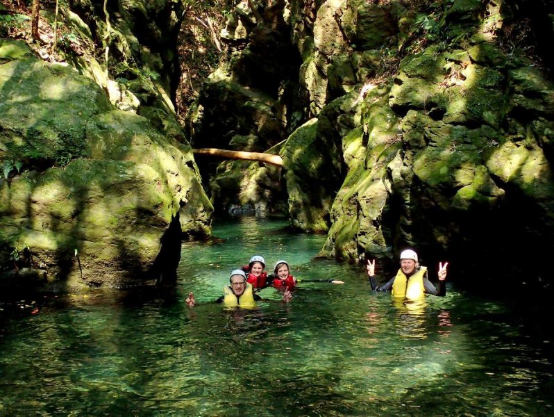 屋久島の原生林を流れる清流を進む、沢登りのガイドと参加者たち。