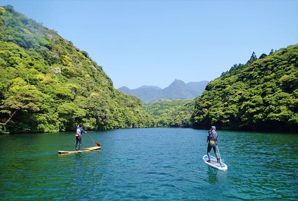 安房川でしか味わえない感動体験！屋久島の自然と遊ぶアクティビティ特集