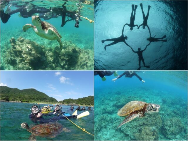 屋久島を修学旅行（卒業旅行・団体旅行）で楽しもう！大人数におすすめのツアー・観光スポットをご紹介