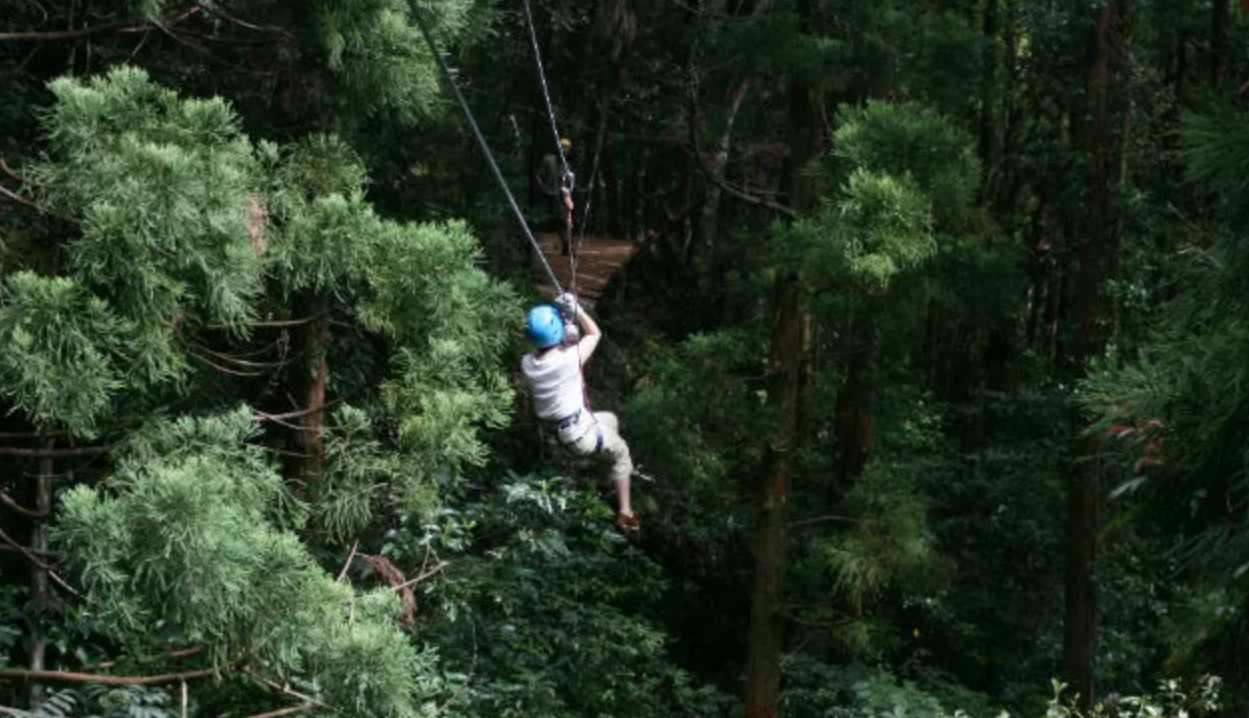 屋久島の6月の天候や気温 適した服装や持ち物 おすすめのアクティビティをご紹介 屋久島アクティビティ
