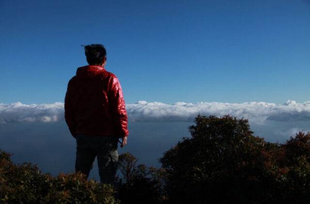 屋久島の1月の天気・服装・おすすめアクティビティをご紹介！