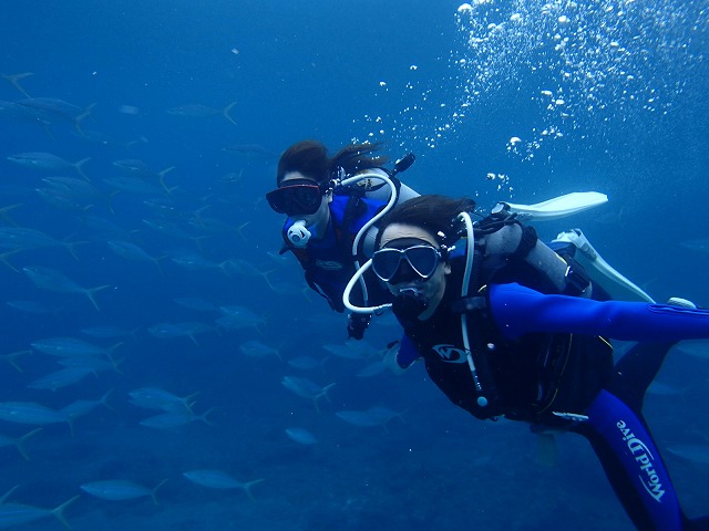 屋久島体験ダイビング ウミガメの泳ぐ美しい海を満喫 No 8 屋久島アクティビティ