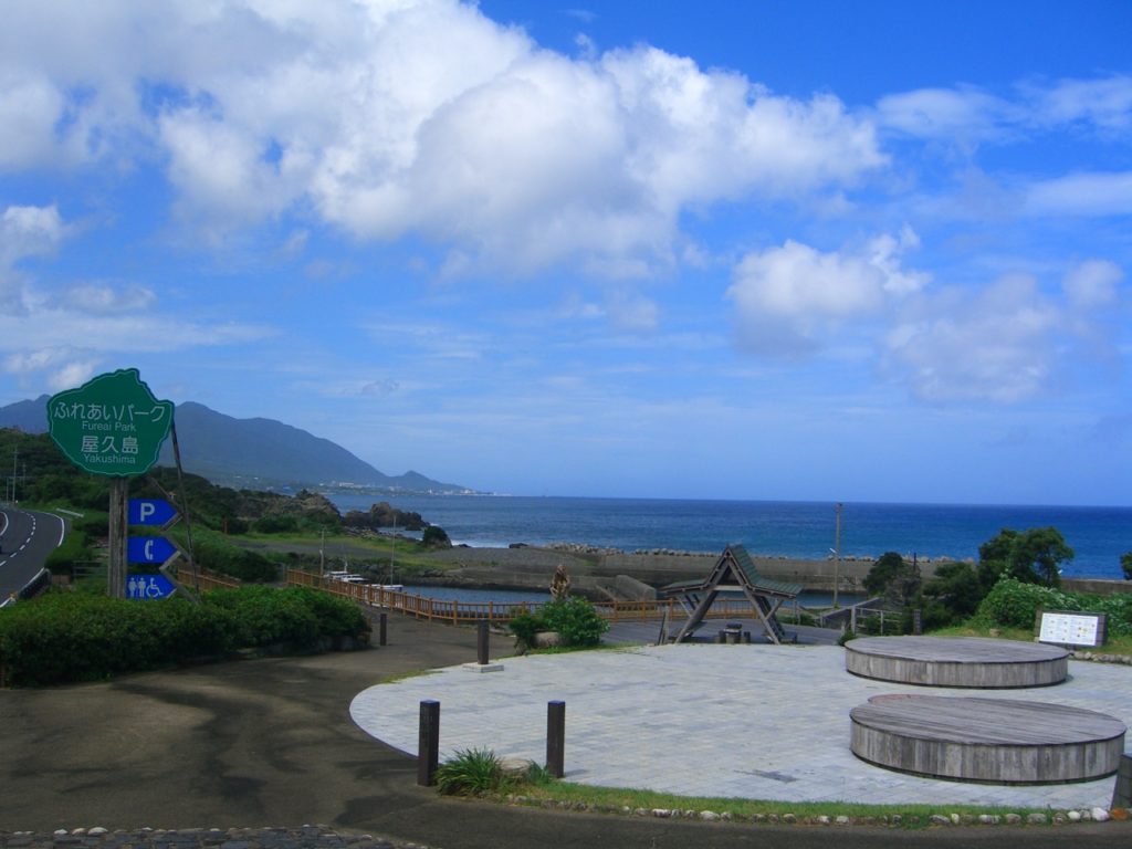 屋久島旅行で欠かせないアクティビティと観光スポットもご紹介