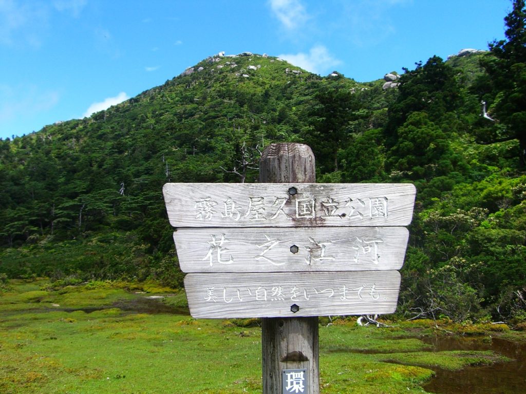 黒味岳ツアーのハイライト、日本最南端の高層湿原「花之江河」の美しい景観。