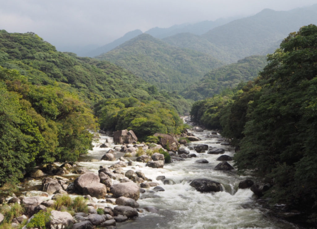 屋久島‐横河渓谷-