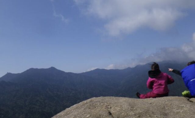 屋久島・太鼓岩の絶景に感動！白谷雲水峡トレッキング完全ガイド