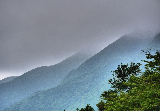 雨の日でも楽しめる？雨天時の屋久島の魅力とおすすめツアーをご紹介