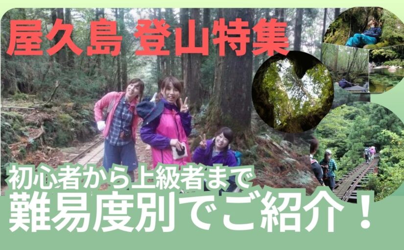 屋久島トレッキングツアーの難易度別でご紹介のアイキャッチ画像