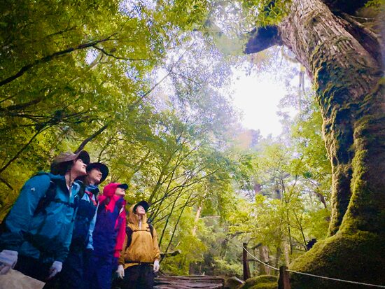 屋久島 西部林道ツアー