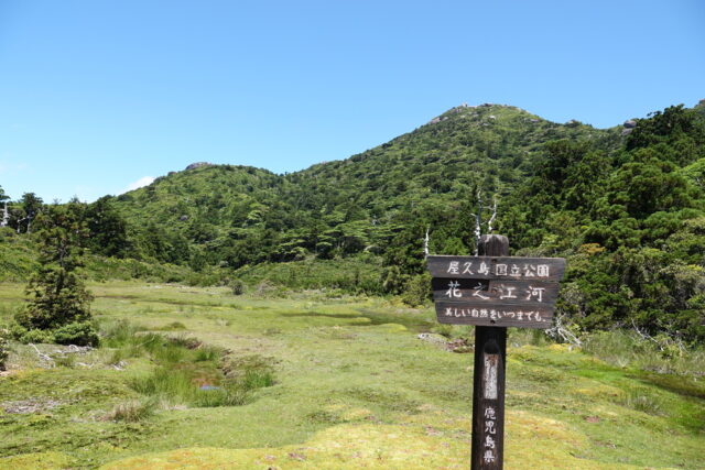 日本最南端的高層濕原——花之江河的標誌與風景