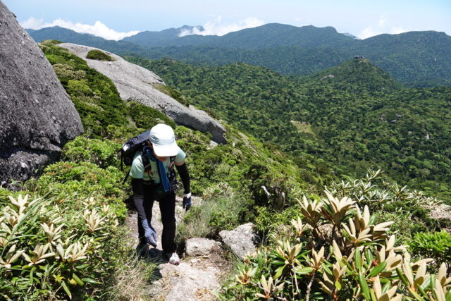 黒味岳 トレッキング