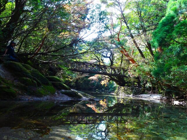 黒味岳 トレッキング