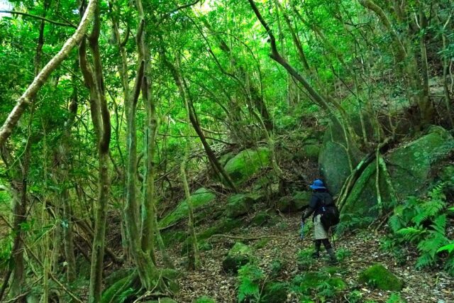 蛇の口の滝 トレッキング