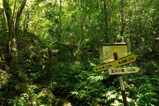 蛇の口の滝 トレッキング