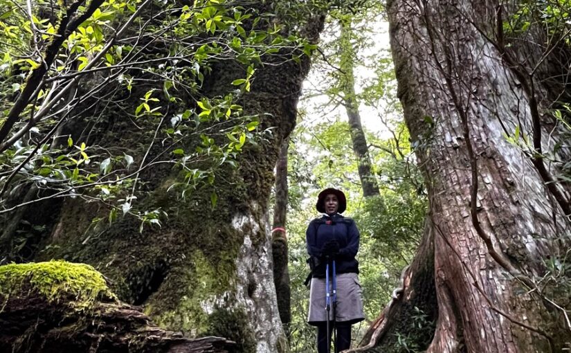 太忠岳　トレッキング