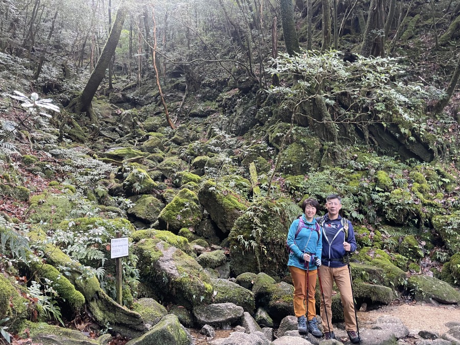 【屋久島/約9時間】貸切女性ガイドと行く「苔むす森」＆「太鼓岩」トレッキング！美しい森でお弁当ランチ♪登山デビュー大歓迎《送迎付き》（No.107）