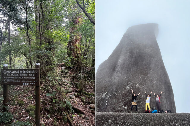 太忠岳　トレッキング