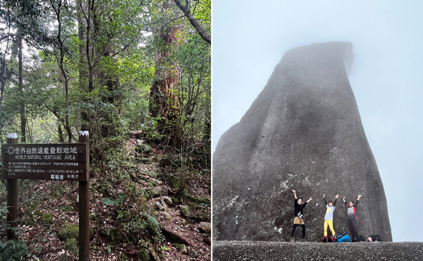 太忠岳登山步道上的世界自然遺產告示牌，以及在天柱石山頂歡欣雀躍的登山客