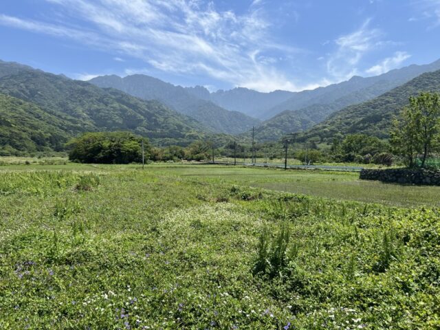 屋久島の山々と田園風景