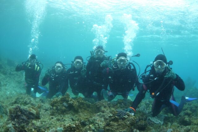 屋久島の海で体験ダイビングを楽しむグループ
