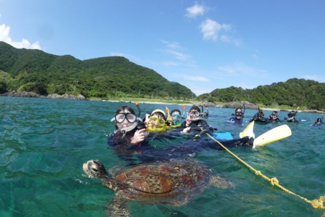 屋久島でウミガメと一緒に泳ぐダイビングツアー参加者