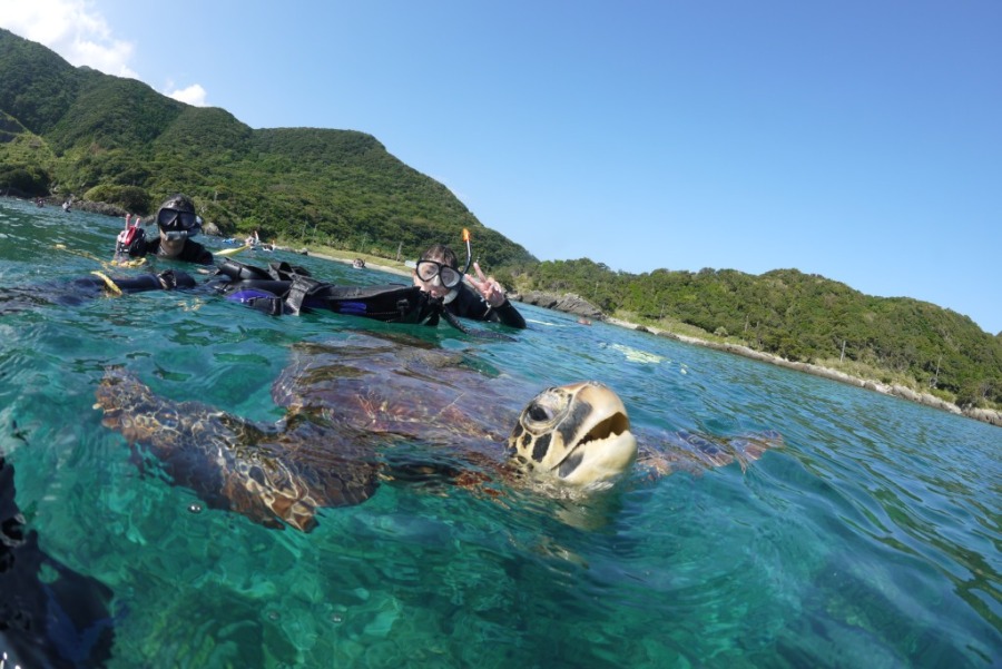 【屋久島/約3時間】70歳まで参加OK！ウミガメに会えるかも☆透明度抜群の海でお手軽シュノーケリングツアー＜カメラレンタル無料＞（No.80）