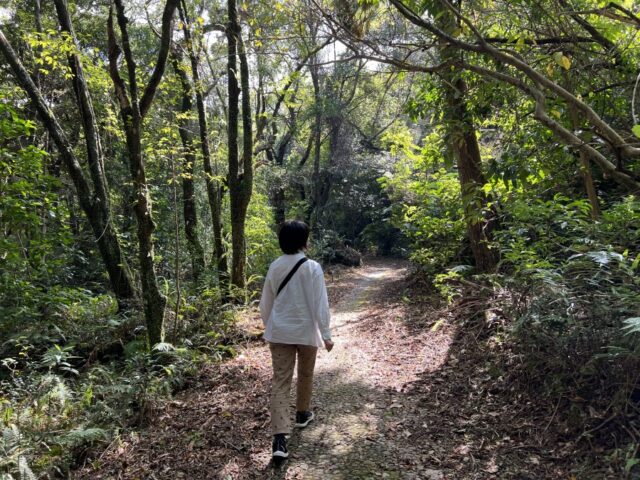 屋久島　西部林道　観光スポット