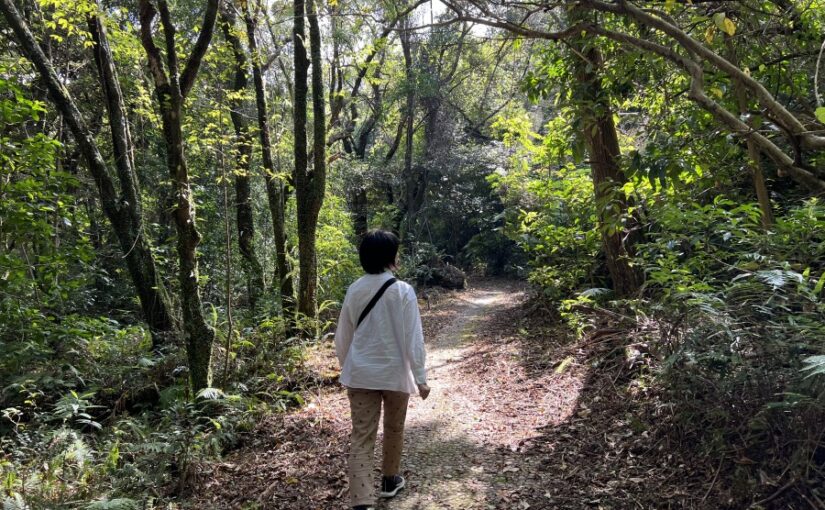屋久島 西部林道 観光スポット