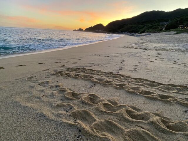 永田いなか浜の朝焼けとウミガメの足跡が残る砂浜