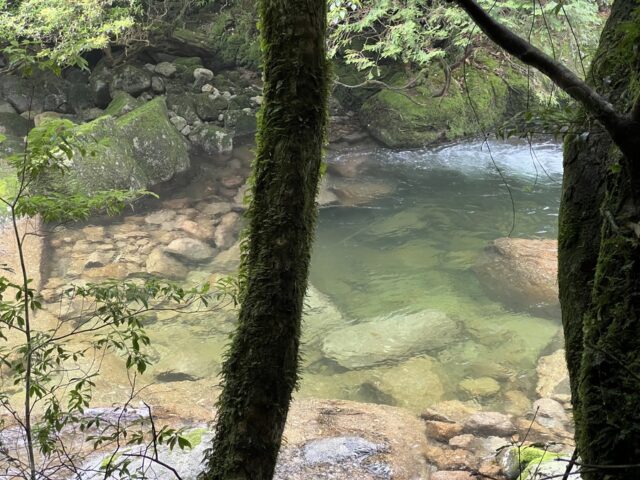 白谷雲水峡