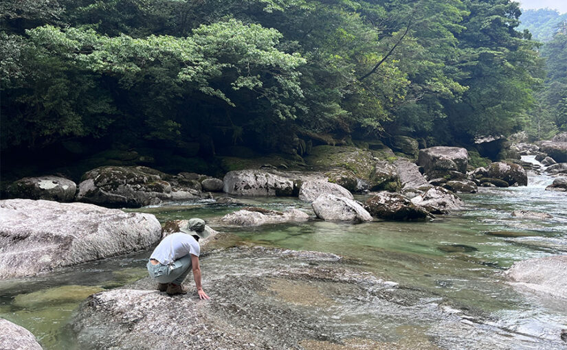 야쿠시마 목욕, 삼림욕