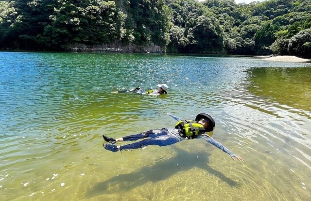 屋久島浴、森林浴