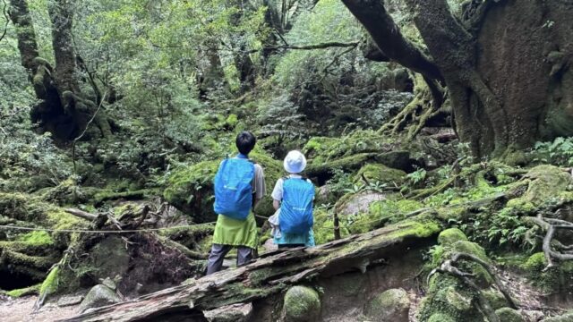 屋久島旅行で外せないアクティビティと観光スポットをご紹介！