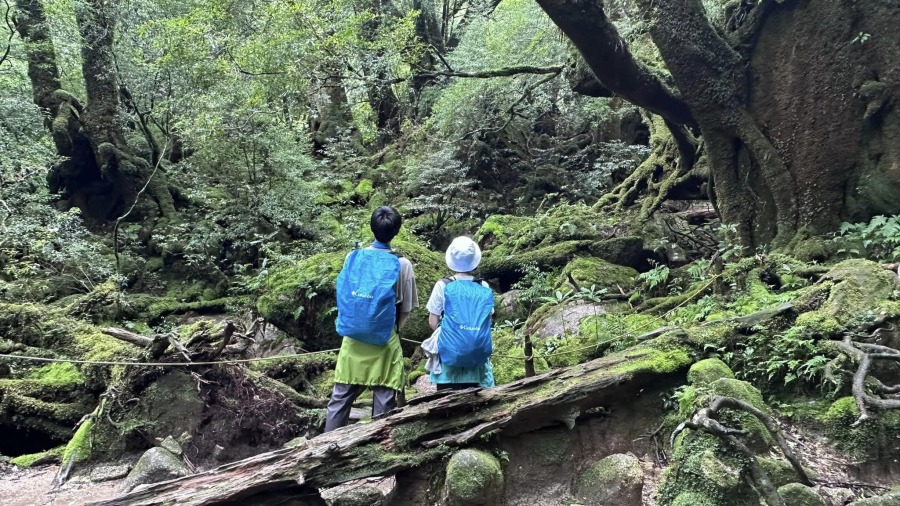 屋久島トレッキング