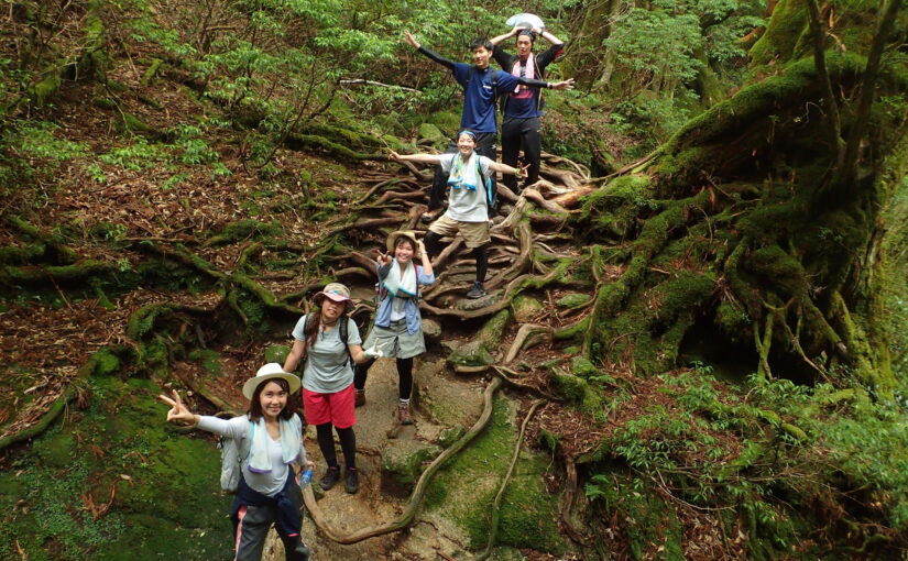 屋久島　縄文杉トレッキング　トレッキング