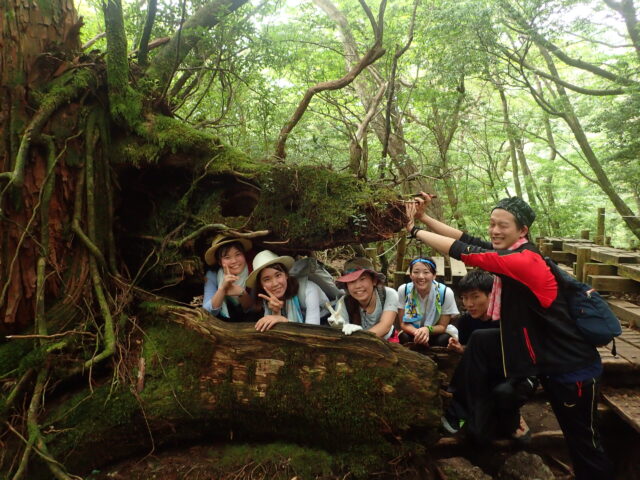 屋久島　縄文杉トレッキング　トレッキング
