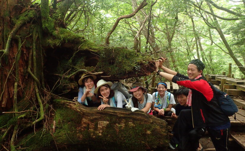 屋久島　縄文杉トレッキング　トレッキング