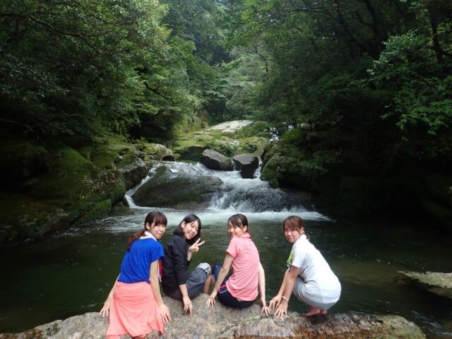 屋久島　花崗岩　白谷雲水峡