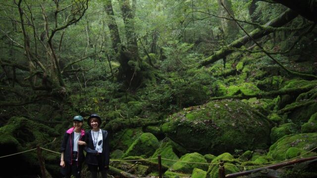 屋久島　白谷雲水峡　トレッキング